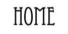 home button